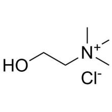 Choline Chloride Food Additive